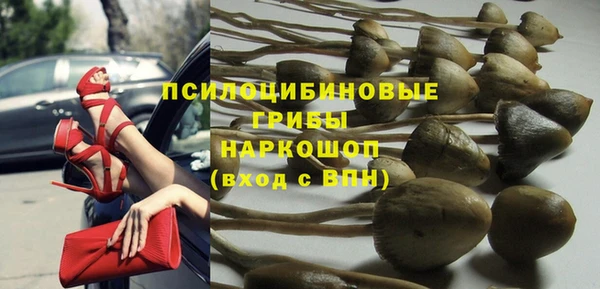 ГАЛЛЮЦИНОГЕННЫЕ ГРИБЫ Липки