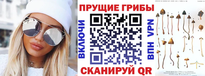купить  цена  Ессентуки  Галлюциногенные грибы GOLDEN TEACHER 